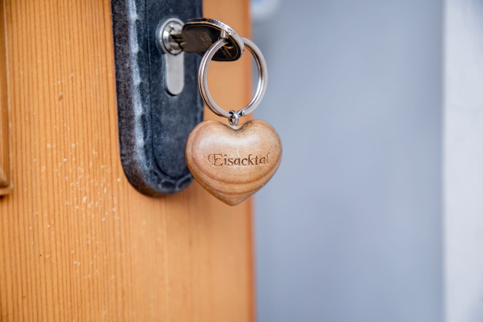 Details (133 von 207)